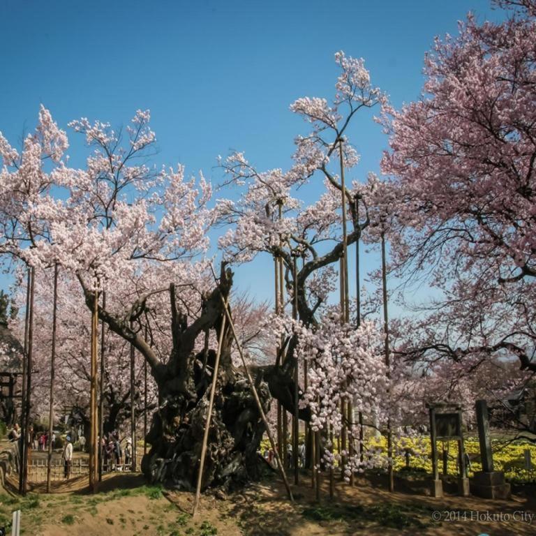 Izumigo Kiyosato Kogen Hotel Hokuto  Extérieur photo